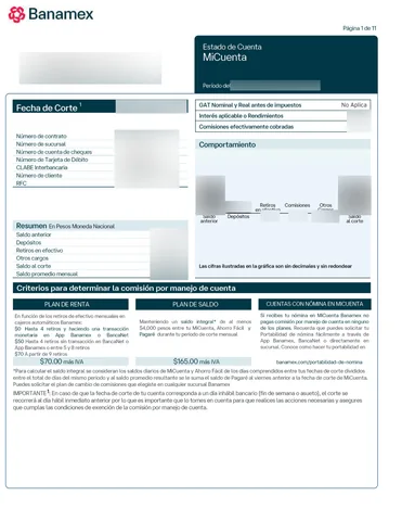 Documento original anonimizado de estado de cuenta Banamex, página 1.