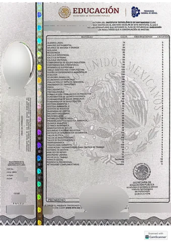 Certificado académico mexicano anonimizado, página 1.